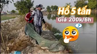 Câu rô phi hồ 5 tấn cá mà giá lại chỉ 200k 6h