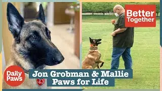 Paws for Life Is Giving Second Chances To Dogs & Incarcerated Trainers | Daily Paws