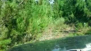 DSCF2190