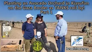 Planting an Avocado Orchard in Kissufim on the Gaza Border as TANKS roll by! Part 1