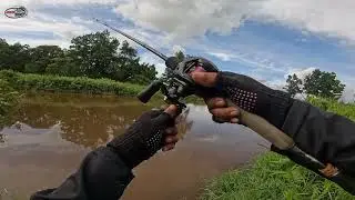 Umpan Tepat Jatuh Di Kepala Ikan