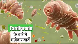 टार्डीग्रेड जीव के बारे में 11 रोचक तथ्य || interesting facts about tardigrade in Hindi