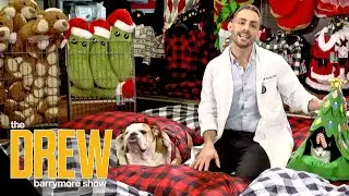 Celebrate the Holidays with Your Pet and These Products from Petco