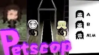 Le jeu vid&eacute;o hant&eacute; qui refait surface - Petscop - findings N&deg;4