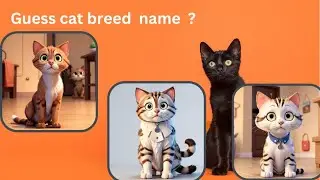 Guess cat breed name | cat quiz | #viral #viralvideo #video #trending #cat
