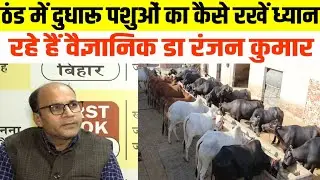 ठंड में दुधारू पशुओं का कैसे रखें ध्यान, बता रहे हैं वैज्ञानिक डा रंजन कुमार