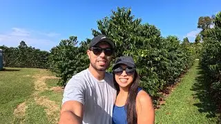 Getting Our Morning Coffee at Greenwell Farms in Kona, Hawaii