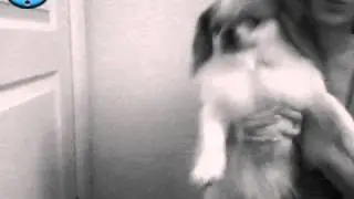 121117 203051