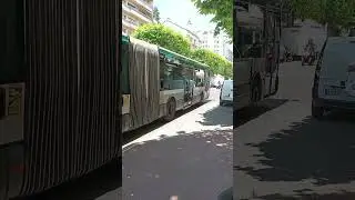 Bus 113 RATP | Irisbus Citelis 18 N&deg;1980 | Paul Bert