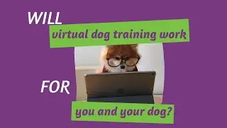 Online Dog training: Is it right for you and your dog?