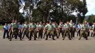 2013 Final Parade and prize giving haka