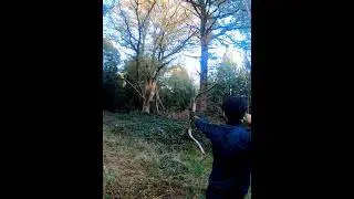 SHOOTING A BISON....KILLSHOT