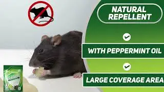 Rat & Mouse Repellent Balls - 5 Pack | Effective Rat Repellent Indoor Rodent Control