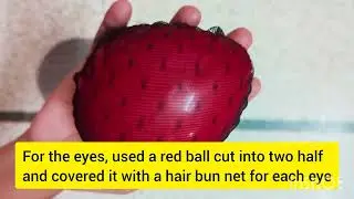 HOUSEFLY FANCY DRESS COSTUME |Customised |DIY| Fancy Dress Competition