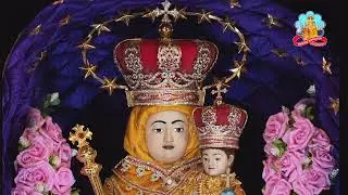 🔴 Live 01 February 2026 @ Vailankanni Shrine Basilica