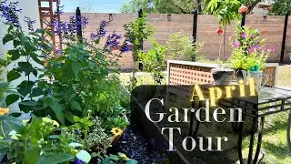 What Has Sprouted This Spring ☀️🌸🌳April Garden Tour| Front & Backyard | Chaste-Hibiscus-Coreopsis
