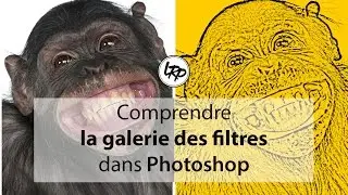 Comprendre la GALERIE des FILTRES dans PHOTOSHOP | Cours #007