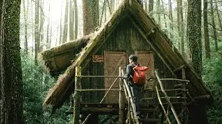 Building of the stone hut is finished | I made a stove and went on a photo hunt full video 