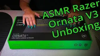 BEST ASMR KEYBOARD EXPERIENCE With Razer Typing Tapping Scratching