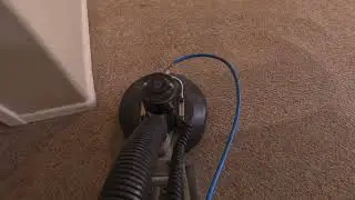 Carpet Cleaning Magic with the Rotovac 360i