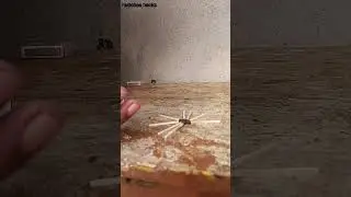 matches hacks for home #experiment #viral #shortvideo #share #shorts #status #subscribe #viralshort