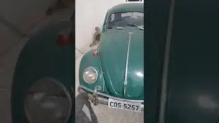 Fusca 1965