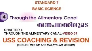 USS SCHOLARSHIP EXAM COACHING | CLASS 7  BASIC SCIENCE   THROUGH THE ALIMENTARY CANAL VIDEO 07