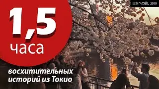 Я слетал в Японию, и вот, что случилось | Токио 2019 (1-9 день)