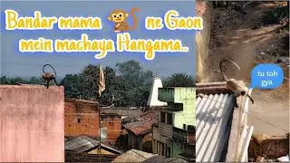 Bandar mama ne Gaon me machaya aatank..🐒.  #dailyvlogs #P ᴀ ɴ k ᴜ__ vlogs 