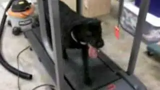 Deoge Treadmill