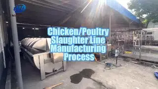 🐔 Poultry Slaughter Line Manufacturing Process | Automatic Chicken Processing Equipment Factory