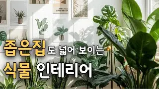 좁은 공간 활용도 높은 플랜테리어 꿀팁 식물 인테리어 방법