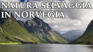 NORVEGIA selvaggia: fiordi, ghiacciai e isole remote