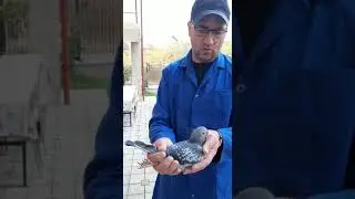 Prezentarea campionilor Florin Vartolomei, Bacau.