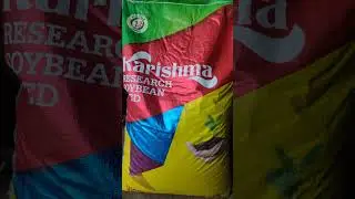 research soyabean seed / सोयाबीन संशोधित बियाणे...