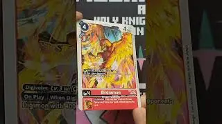 Birdramon Bt23 #digimontcg #cards #digimon