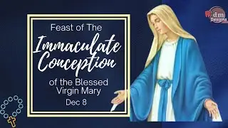 Feast of the Immaculate Conception of the Blessed Virgin Mary - Dec 8, 2021