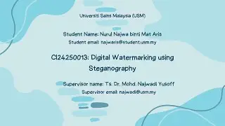 CI24250013: Digital Watermarking using Steganography
