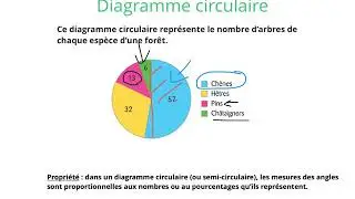 Lire (analyser) des diagrammes et graphiques