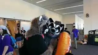 AC2018 - FEATHERS! YAY!