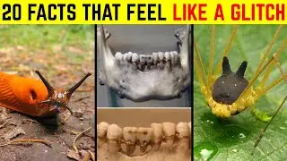 20 Crazy Facts That Show How Strange Our World Really Is!