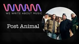 Post Animal talk 