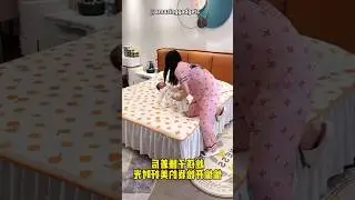 #newgadgets #homeappliances #asmr #gadgests #home #ilovegadgets #fypシ #fypシ゚viral