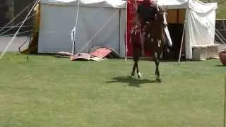 Dover Castle-Roman Festival,26 July 2014.Roman Cavalry.