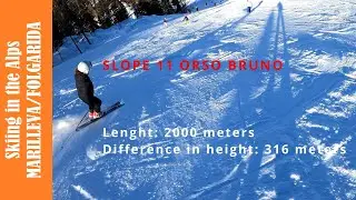 Skiing in Marilleva/Forgarida.Slope n. 11 for intermediates.