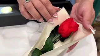 Flowers for Delivery Prime, Preserved Roses Flower Gifts for Women, Real Roses Single Rose Gifts