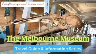 Melbourne Museum | Best Tourist Attraction at Australian Tourism Awards Natural & Cultural History