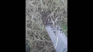 ✔️➡️METAL DETECTING. ✔️➡️DETECCION de METALES