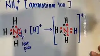 Dative Bond - Ammonium Ion