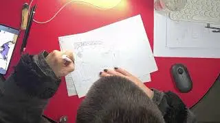 Live Drawing & Creative Workflow | Disegno dal Vivo e Processo Creativo